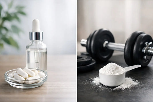 NMN or creatine for energy?