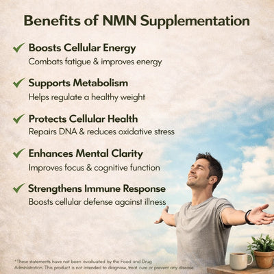 Friendly Health - NMN 500mg Supplement - 60 Capsules