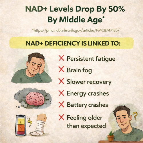 Friendly Health - NMN 500mg Supplement - 60 Capsules
