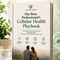 The Busy Professional’s Cellular Health Playbook