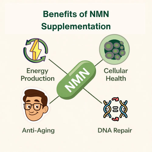 Friendly Health - NMN 500mg Supplement - 60 Capsules